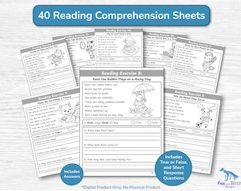 Reading Comprehension First Grade Worksheet Activity / 40 Sentence Reading Stories & Short Response Questions / Elementary Grade 1 Exercise