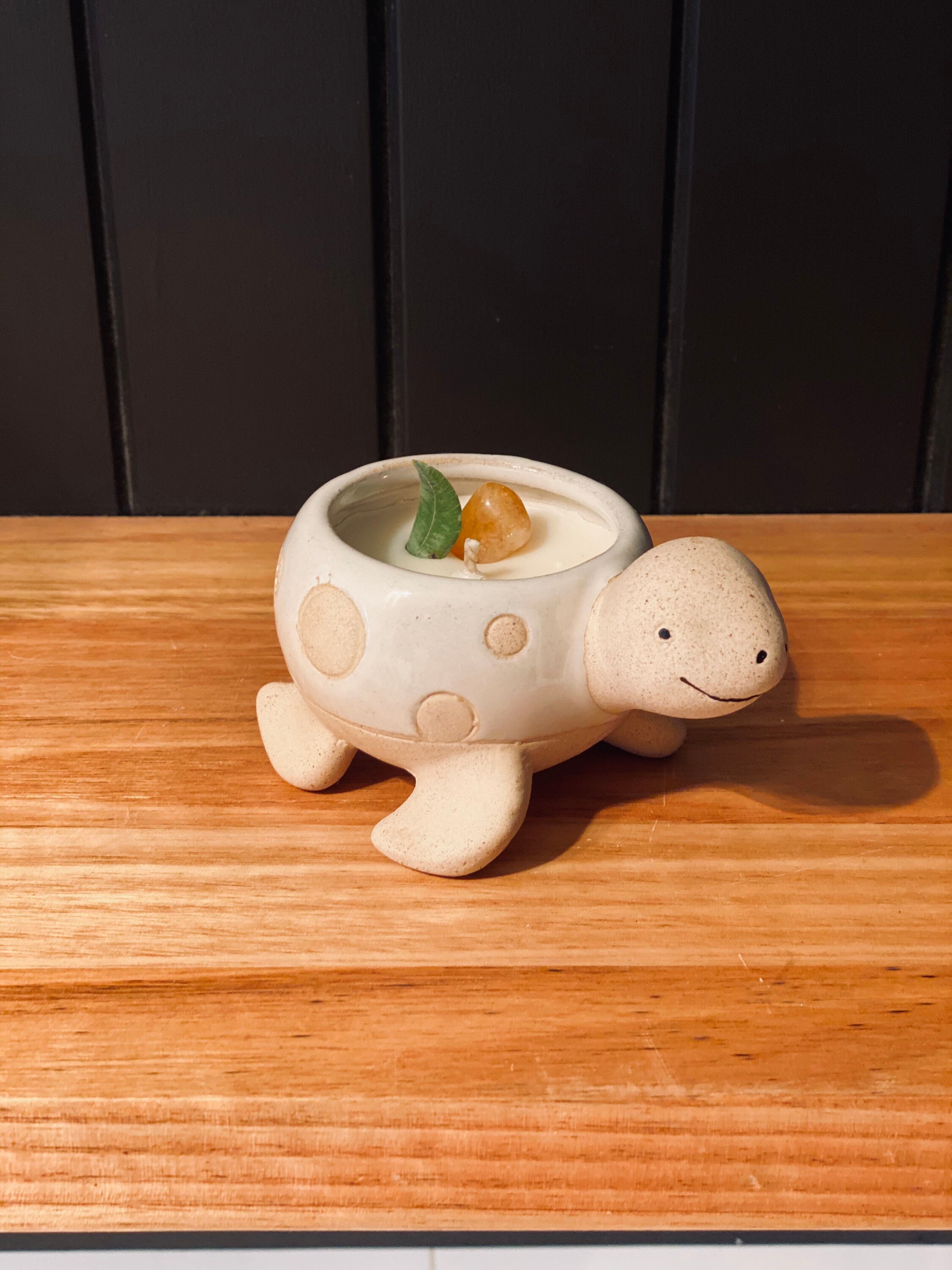 Cute turtle candle Turtle candle in planter potcrystals Etsy