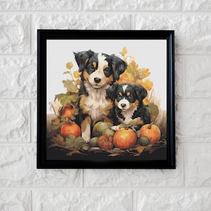 May include: Two black and brown puppies with white markings are sitting in a basket of fall foliage and pumpkins. The puppies are looking at the camera.