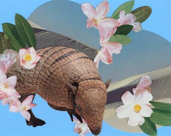 Armadillo — Original Framed Collage Art, 4x6, Surreal Mixed Media