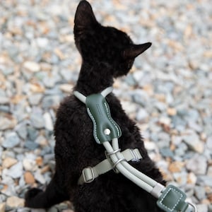 Op de afbeelding: Een huisdierentuigje met saliegroene touwbanden, donkergroene lederen accenten met witte stiksels en zilverkleurige metalen hardware. Het tuigje is ontworpen met verstelbare schuifgespen en een veilige sluiting voor een functionele pasvorm.