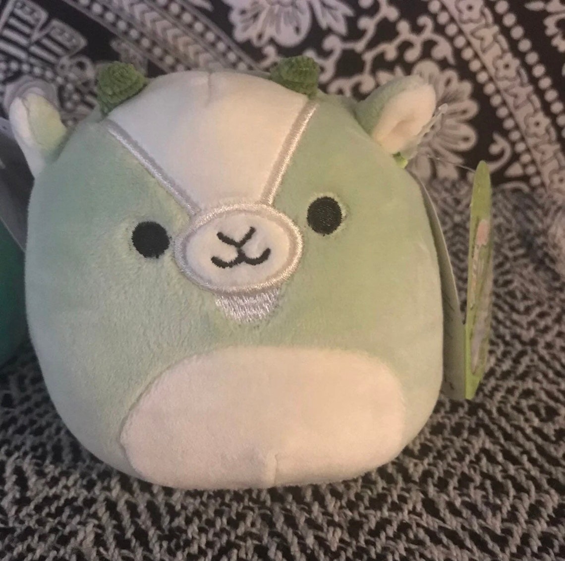 squish mallo squish mallo