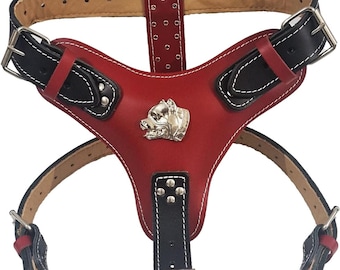 Pettorina Per Cani In Pelle Extra Large Extra Large Con Borchie Marrone Cioccolato / Beidge - Foto 2