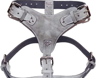 May include: A gray suede dog harness with a dark gray trim and silver-colored metal buckles. The harness features adjustable straps and decorative rivets. The stitching is white, providing a contrast to the gray suede.
