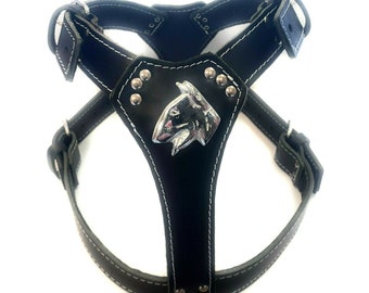 Padded Leather Dog Harness: Adjustable Bull Terrier Badge