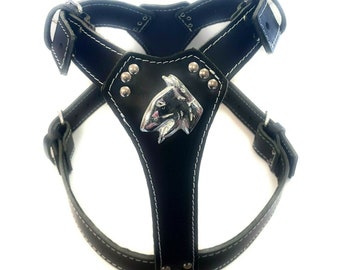 Beautiful Padded Leather Dog Harness Adjustable with English Bull Terrier Badge