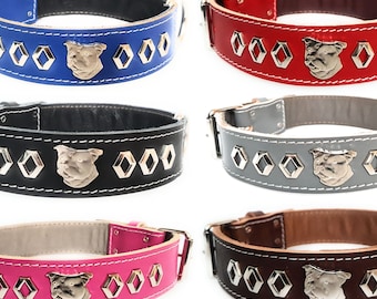 Staffy Leather Dog Collar: Studded Design, Staffordshire Bull Terrier Badge