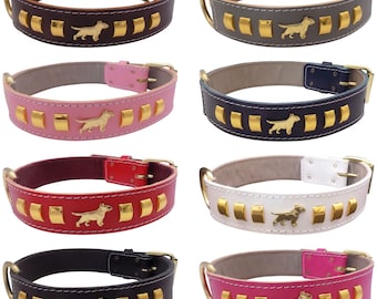 Leather Bull Terrier Dog Collar: 1.5 inch Wide with Gold Badges