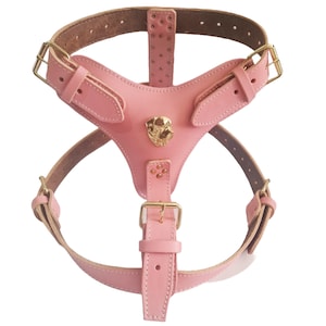 Extra Large Heavy Duty Multi Colour Leather Dog Harness with Rottweiler badge Perfectly fits any Rottweiler from 35kg up to 75kg