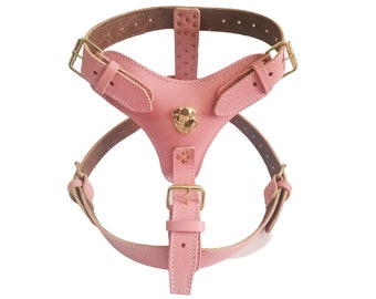 XL Leather Dog Harness: Heavy Duty, Multi-Colour, Rottweiler Badge