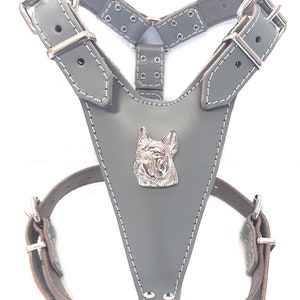 Beautiful Leather Dog Harness with French Bulldog Head Motif only For bit Bigger and Fully Grown French Bulldogs