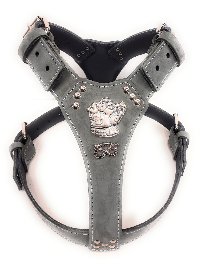 Staffy Leather Dog Harness With Staffordshire Bullterrier Etsy