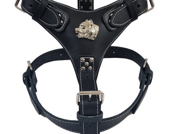 Bully Large Leather Dog Harness with unique American Bully Badge Only for Pocket Bully, Standard Bully and XL up to 55kg