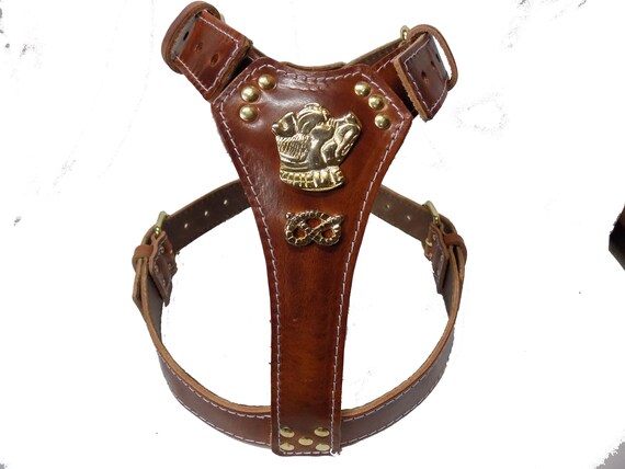 tan leather dog harness