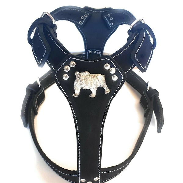 Harnais pour chien en cuir noir rembourré avec insigne de bouledogue anglais/britannique