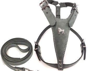 Grey Leather Dog Harness with Pug Head & Matching Lead (M)