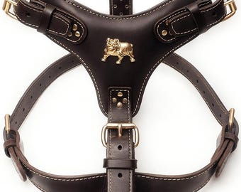 Extra Large Leather Dog Harness with unique English Bulldog Badge only for Bulldogs between 25kg - 50kg