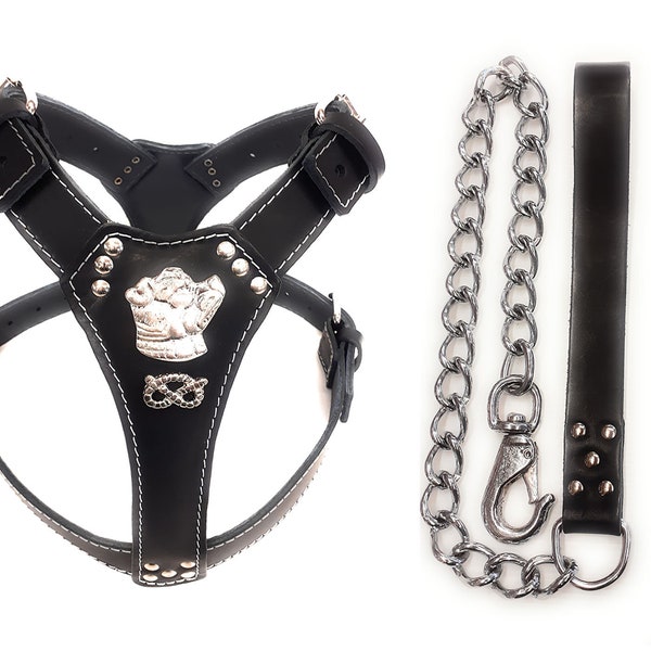 Beautiful Staffy Black Leather Dog Harness Large with Staffordshire Bull Terrier Head and Knot with Matching Chain Lead