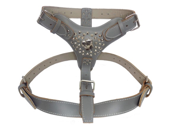 Extra Large Heavy Duty Leather Dog Harness Grey with Studds and Cane Corso  Head Motif