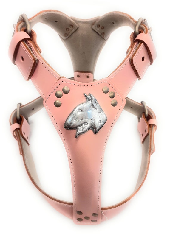 Baby Pink Padded Leather Dog Harness with English Bull Terrier Badge