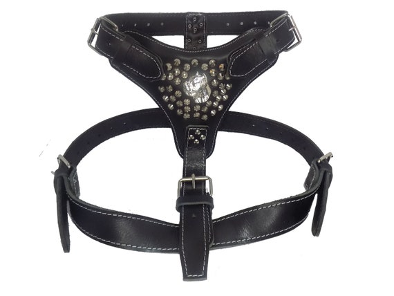 Extra Large Heavy Duty Leather Dog Harness Black With Studds and