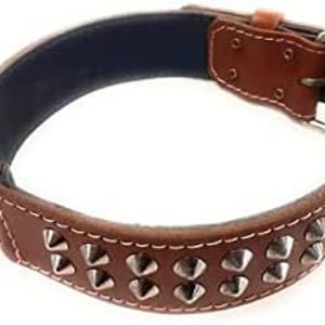 1.5 inch wide Leather Dog Collar with Studded Design Fits Multiple Dog Breeds