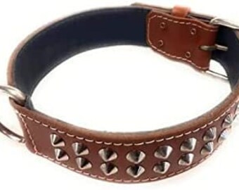 1.5 inch wide Leather Dog Collar with Studded Design Fits Multiple Dog Breeds