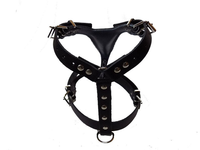 Beautiful Black Leather Dog Harness With Jack Russell Head Etsy