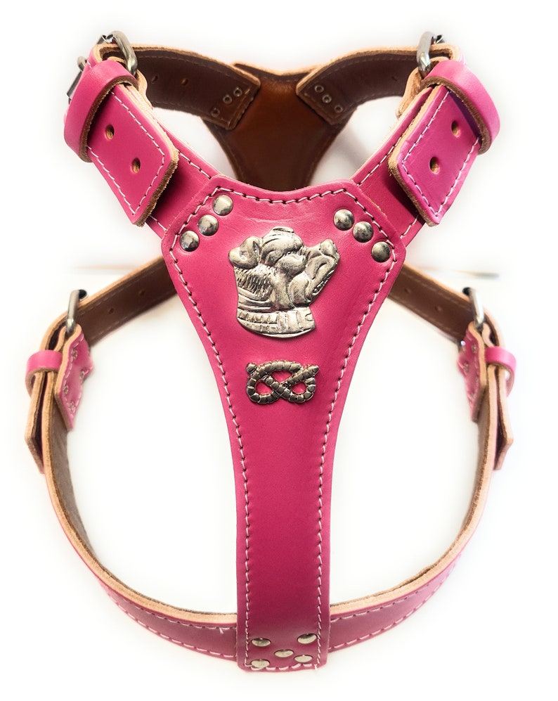 Staffy Leather Dog Harness With Staffordshire Bullterrier Etsy