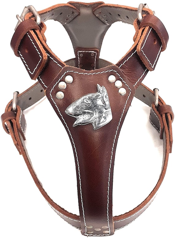 Pettorina Per Cani In Pelle Extra Large Extra Large Con Borchie Marrone Cioccolato / Beidge - Foto 10