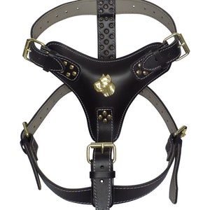 Extra Large Heavy Duty Leather Dog Harness Brown with Unique Gold Cane Corso Head Motif