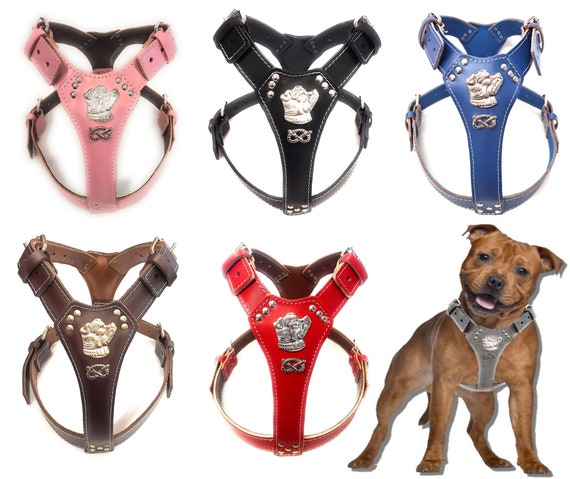 Staffy harness store set