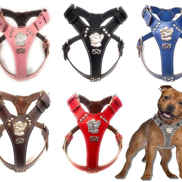 Harnais pour chien en cuir Staffy avec motif Staffordshire Bullterrier et noeud