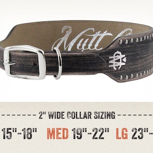 Distressed Leather Dog Collar with Silver Nailheads