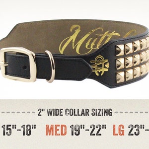 Black Leather Dog Collar with Gold Studs