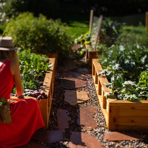 May include: A woman in a red dress and a brown hat is tending to a garden with raised wooden beds. The beds are filled with green leafy plants and the path between them is made of flat stones.