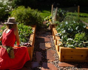 Cedar Raised Garden Beds - Multiple Sizes