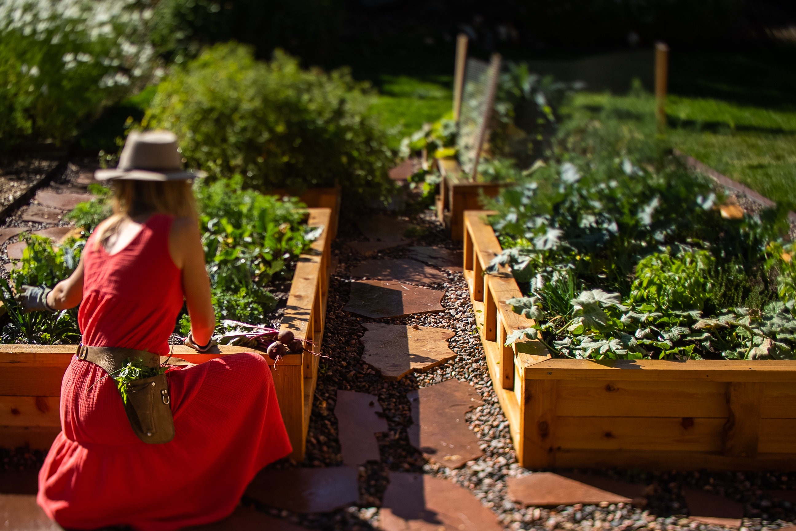 Lits De jardin Surélevés
