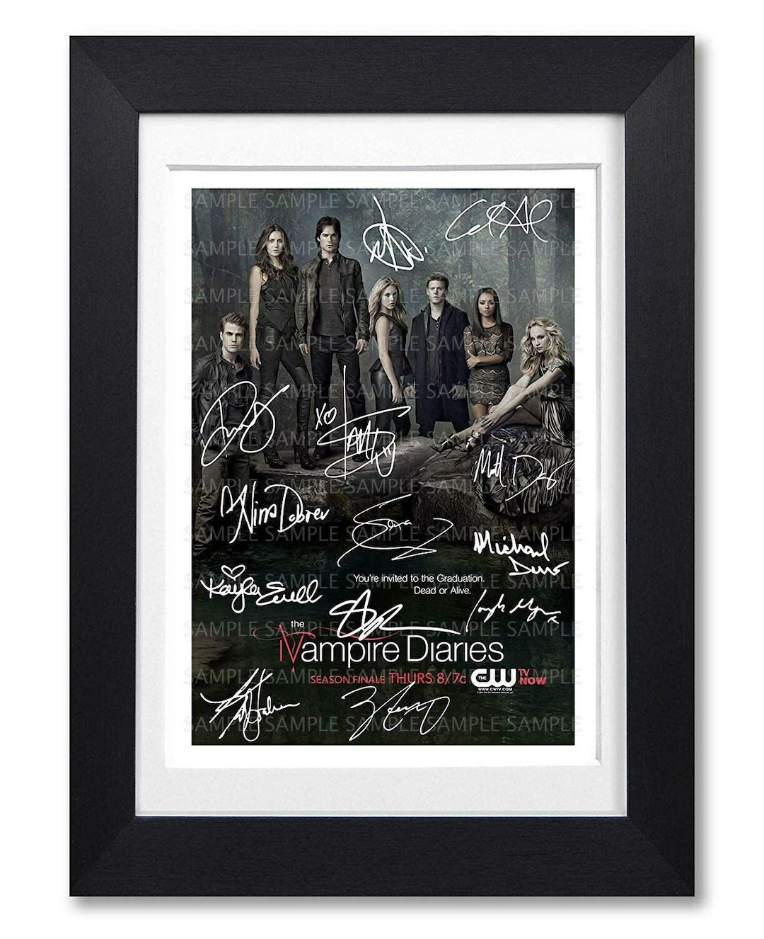 VAMPIRE DIARIES Cast Signed Poster Print Photo Autograph Tv Show