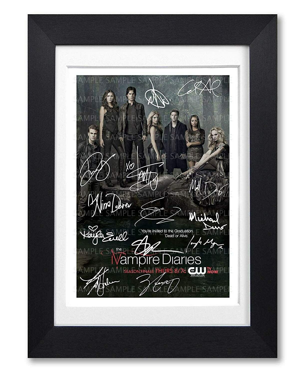 VAMPIRE DIARIES Cast Signed Poster Print Photo Autograph Tv Show