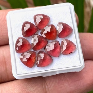 Puede incluir: Una colección de diez gemas triangulares facetadas en una bandeja blanca. Las gemas son de color rojo intenso con facetas más claras y reflectantes. La bandeja se sostiene en la mano de una persona, con un fondo verde borroso.