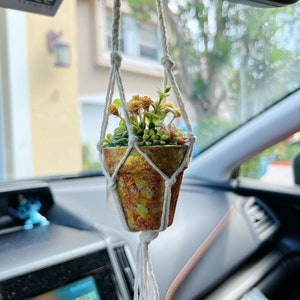 HADLEY - Miniature Car Plant Hanger