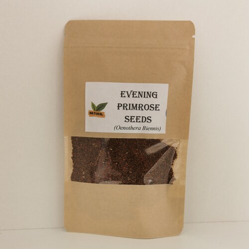 Evening Primrose Seeds Evening Primrose Tea Oenothera Etsy