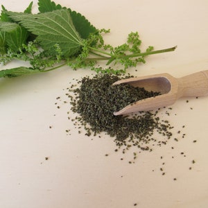 Stinging Nettle Seeds Tea Eating Wildcrafted Urtica dioica Nettle Seeds image 2