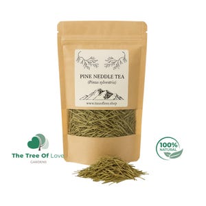Organic Fresh Pine Needle Tea | Pine Needles Tea | Pine Tea Organic | Pine Needles | Pine Needles For Tea | Herbal Remedy