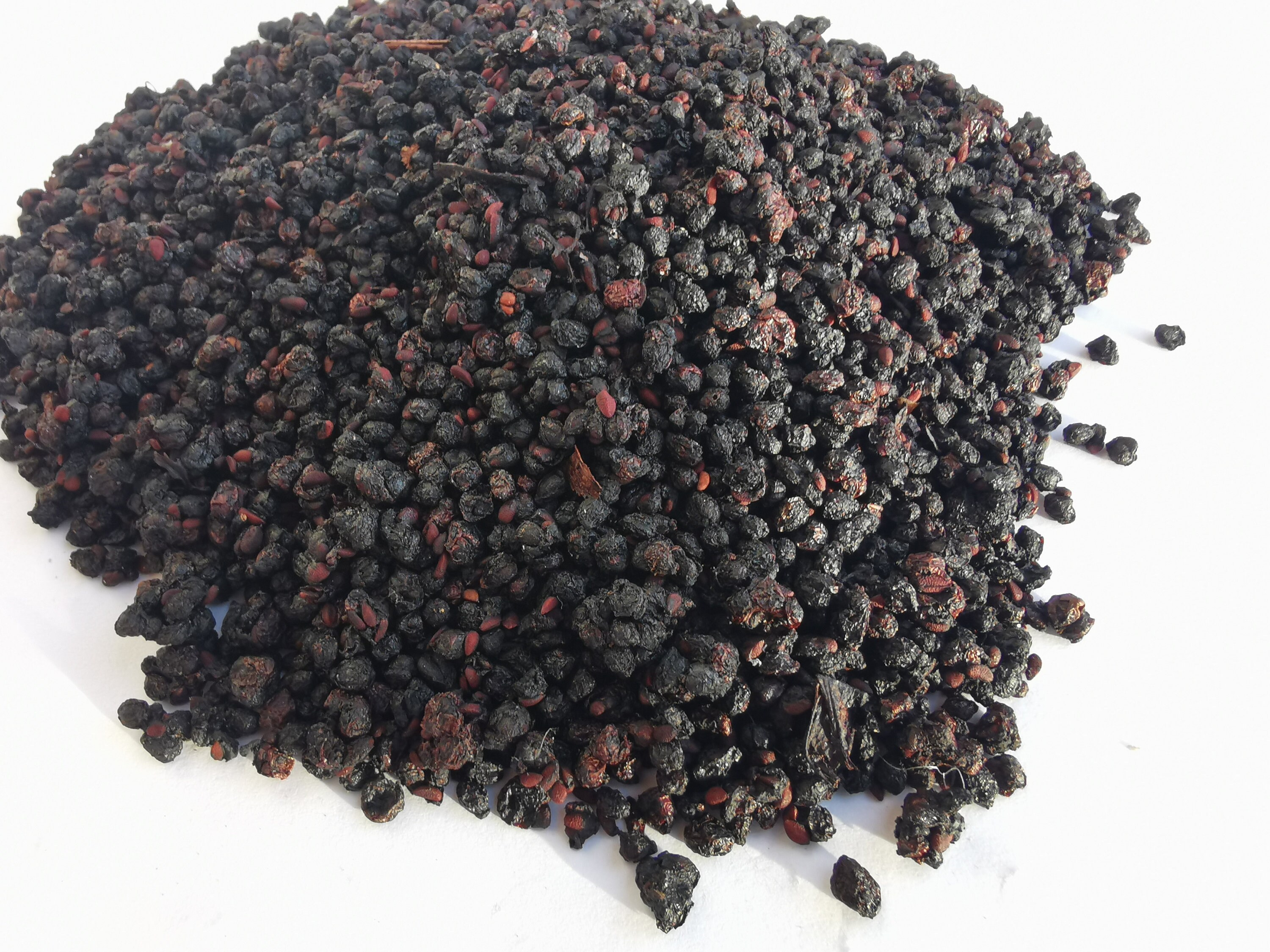 Elderberries Dried Elderberry Bulk 1 Lb 100 Organic Elder Etsy