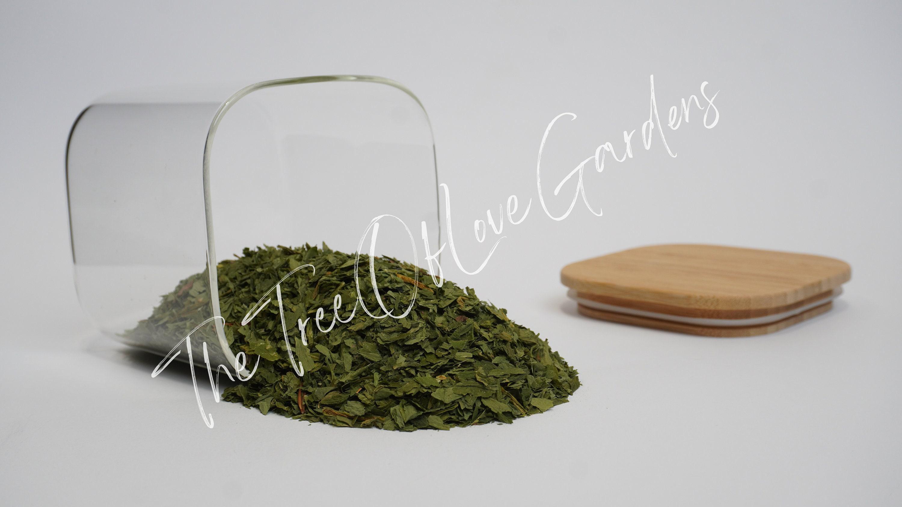 Aglio Selvatico: Proprietà, Benefici E Usi In Cucina - Foto 2