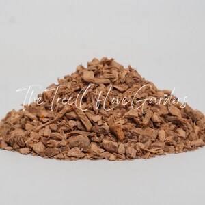 Galangal Root | Alpinia officinarum | | Dried Herbs | Herbal Tea | Herbal Products | Bulk Herb | Herbal Infusion image 4