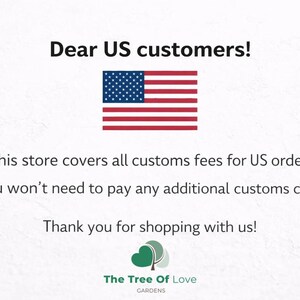 Dear US customers! This store covers all customs fees for US orders. You won't need to pay any additional customs charges. Thank you for shopping with us! The Tree Of Love CARDENS