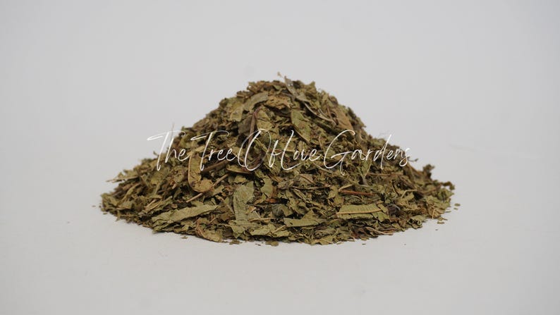 Lemon Verbena Leaf | Aloysia citriodora | Dried Herbs | Herbal Tea | Herbal Products | Bulk Herb | Herbal Infusion image 3